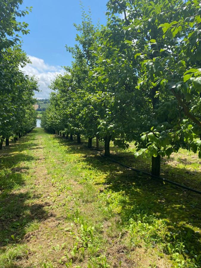 Gite La Garrigue Montbarla Εξωτερικό φωτογραφία